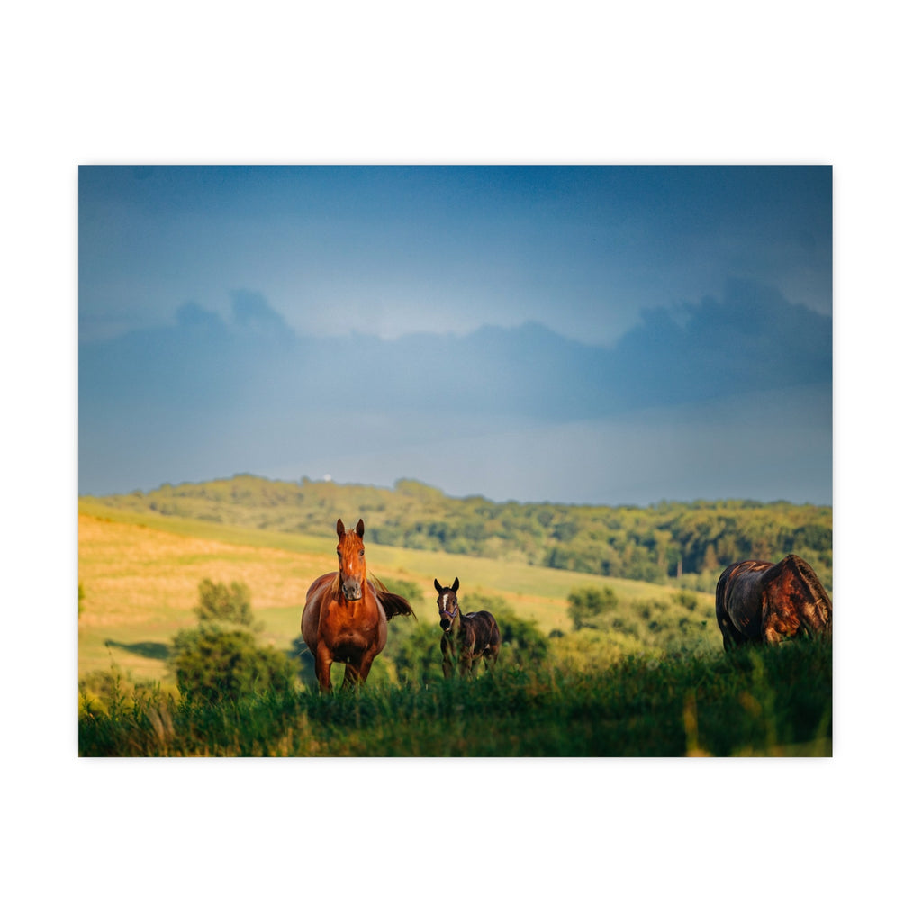 Open Pasture Print