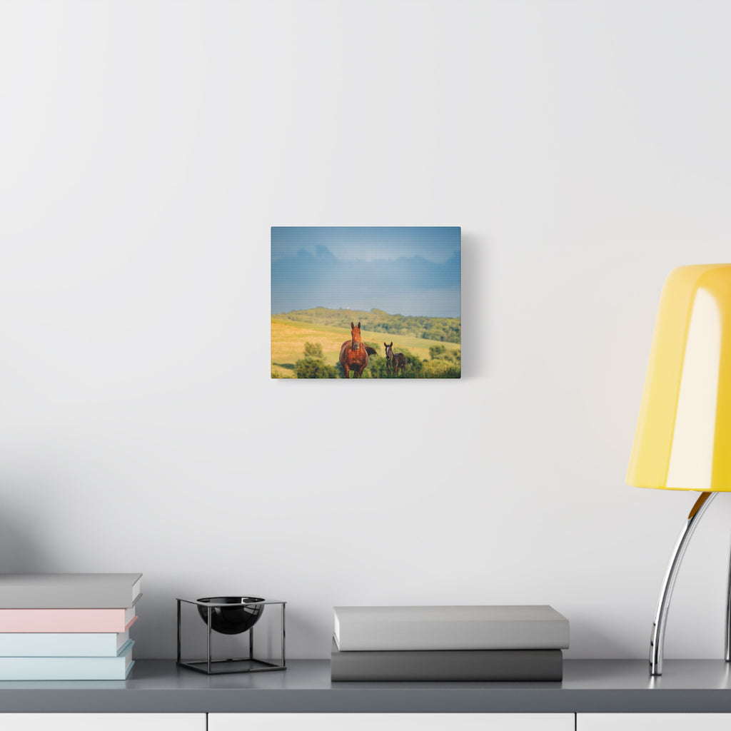 Open Pasture Canvas