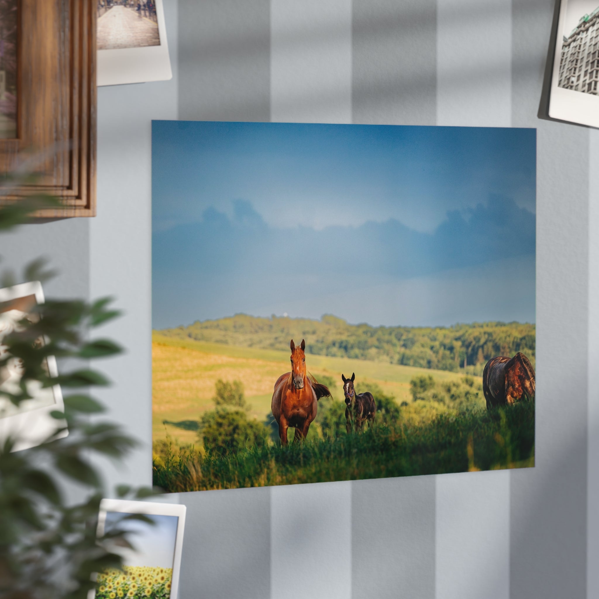 Open Pasture 10x8 Print