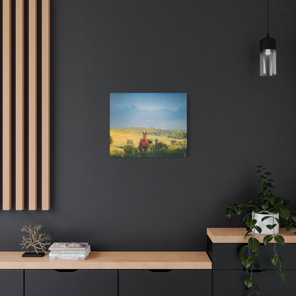 Open Pasture Canvas